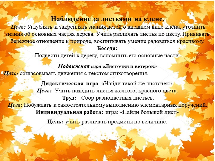 Презентация "Экологическая тропа-объект "Клен"