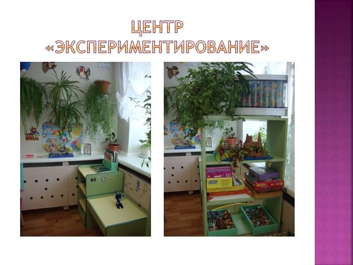 Предметно- пространственная развивающая среда. Автор Светкина Н.И.