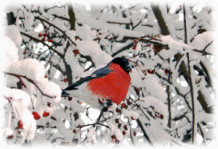 Picture 24