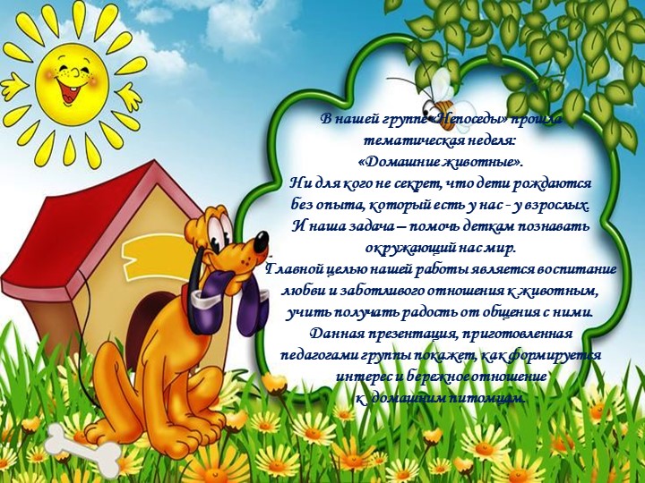 Презентация на тему: "Домашние животные - наши друзья"