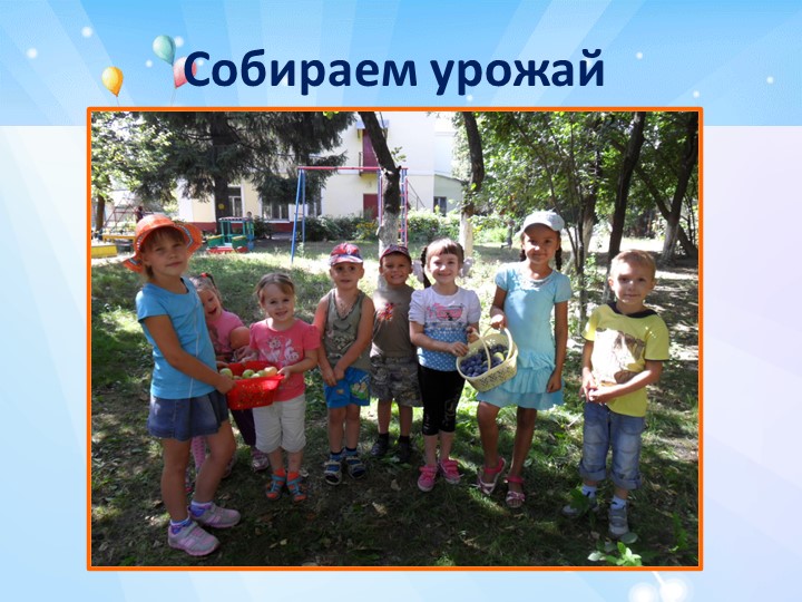 "Летняя оздоровительная работа в детском саду"