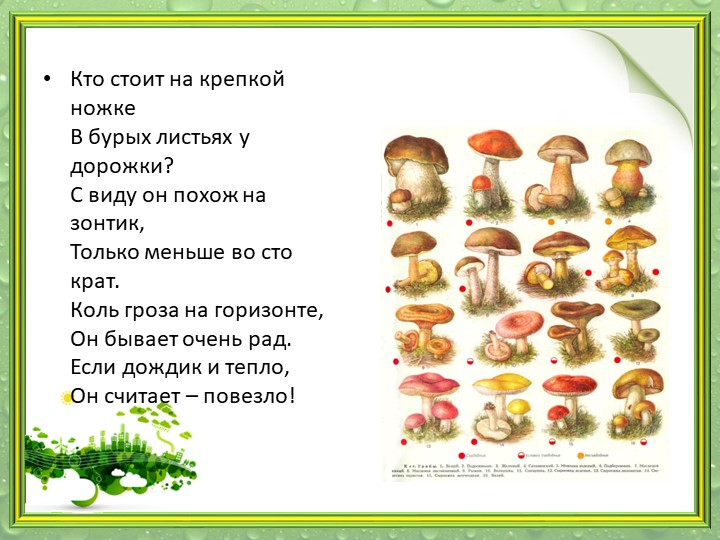 Презентация "Мир грибов" (старшая и подготовительная группа)
