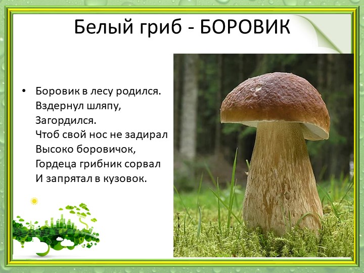 Презентация "Мир грибов" (старшая и подготовительная группа)