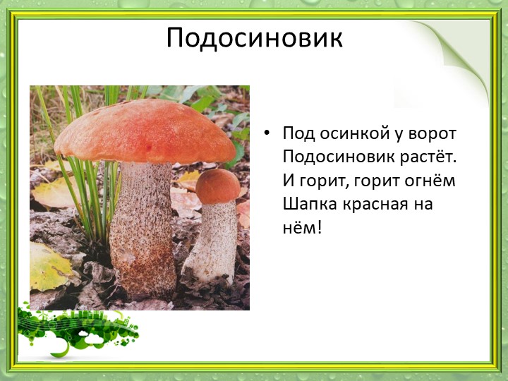 Презентация "Мир грибов" (старшая и подготовительная группа)