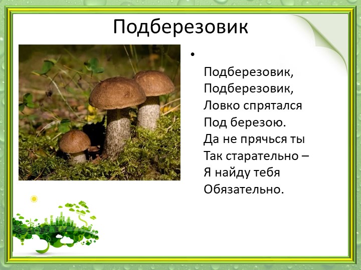 Презентация "Мир грибов" (старшая и подготовительная группа)