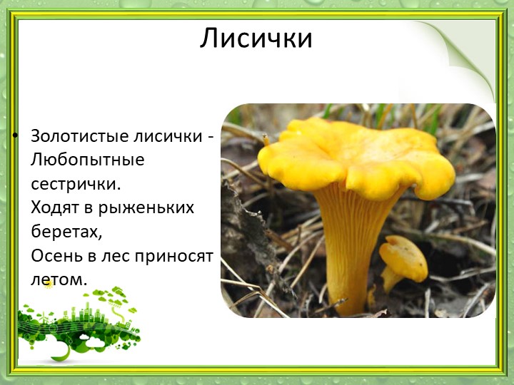 Презентация "Мир грибов" (старшая и подготовительная группа)
