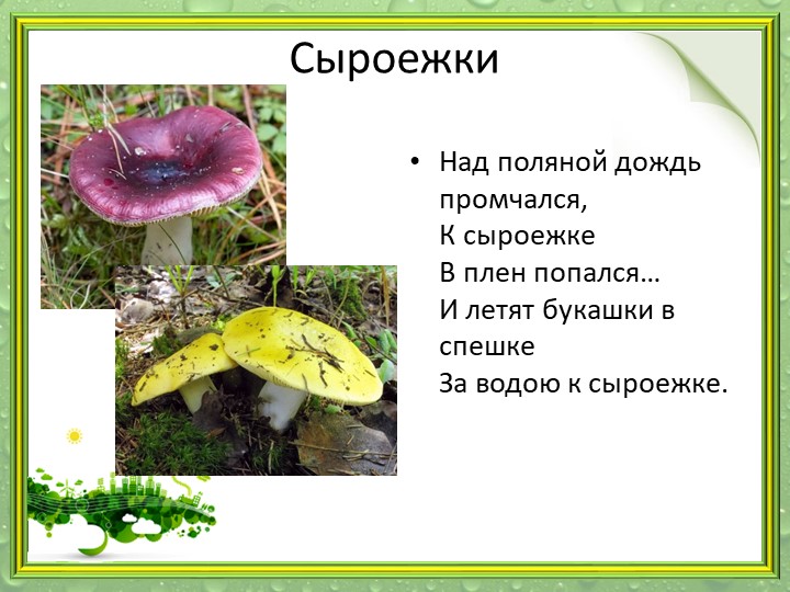 Презентация "Мир грибов" (старшая и подготовительная группа)