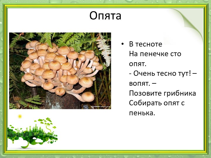 Презентация "Мир грибов" (старшая и подготовительная группа)