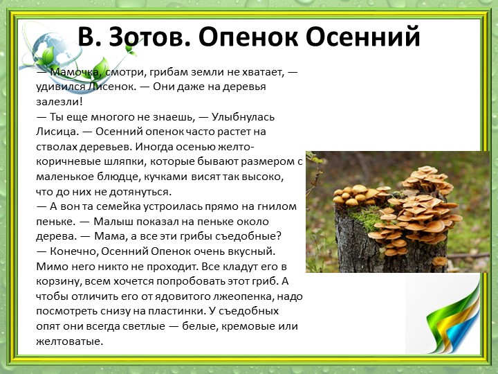 Презентация "Мир грибов" (старшая и подготовительная группа)