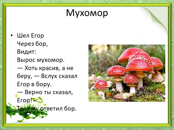 Презентация "Мир грибов" (старшая и подготовительная группа)