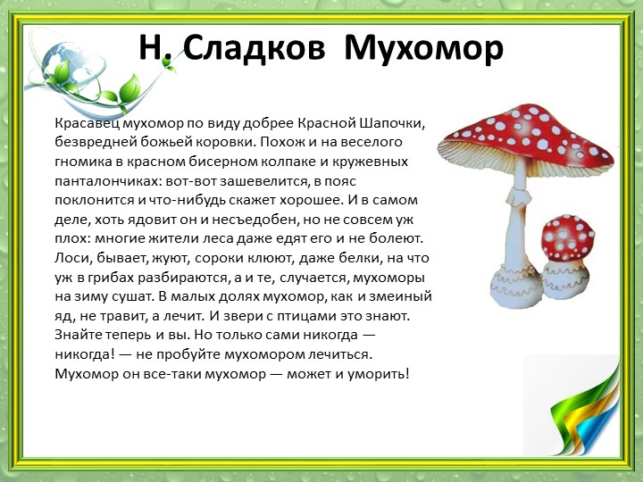Презентация "Мир грибов" (старшая и подготовительная группа)