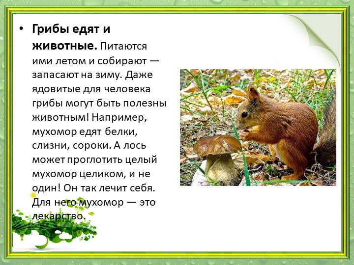 Презентация "Мир грибов" (старшая и подготовительная группа)