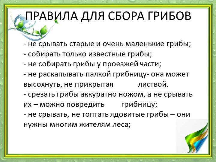 Презентация "Мир грибов" (старшая и подготовительная группа)