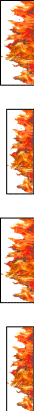 Shape6
