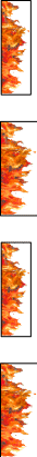 Shape17