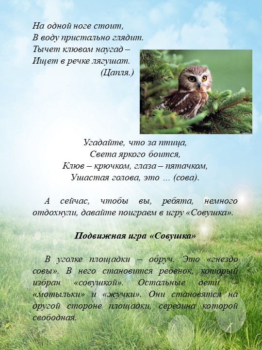 Презентация о расширении знаний о лесе и его обитателях "Друзья природы"