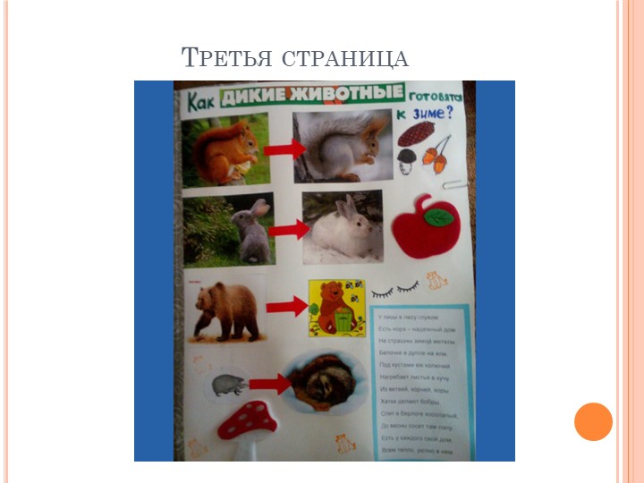 Презентация лепбука "Как дикие животные готовятся к зиме" для дошкольников