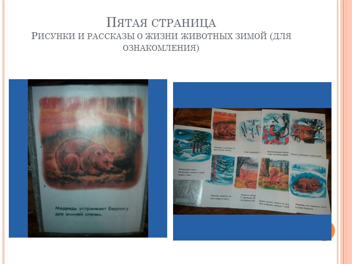 Презентация лепбука "Как дикие животные готовятся к зиме" для дошкольников