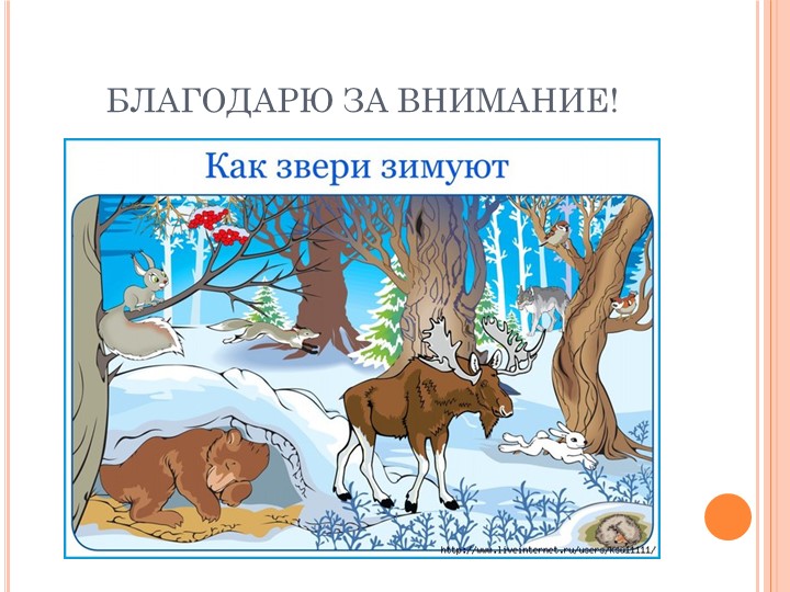 Презентация лепбука "Как дикие животные готовятся к зиме" для дошкольников
