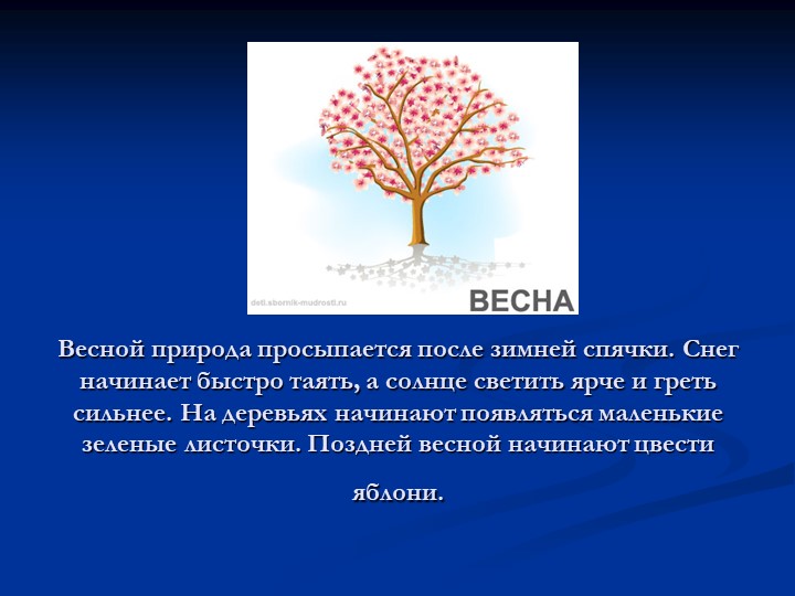 Презентация для дошкольников "Времена года"