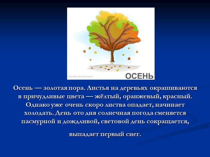 Презентация для дошкольников "Времена года"
