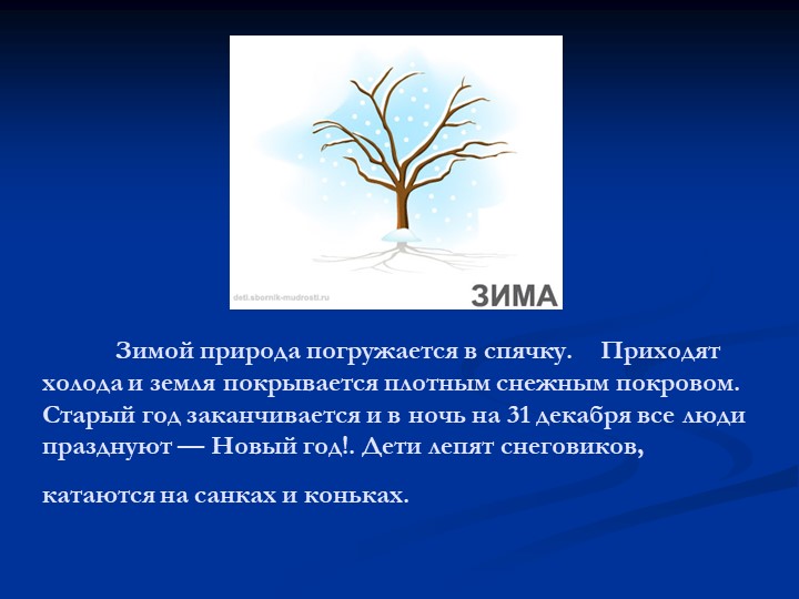 Презентация для дошкольников "Времена года"