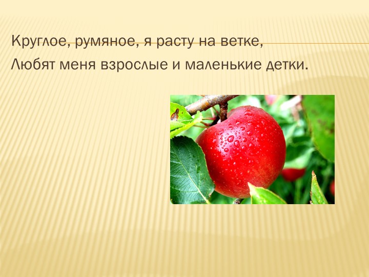 Презентация к ООД в старшей группе комбинированной направленности для детей с ОНР "Осенняя сказка".