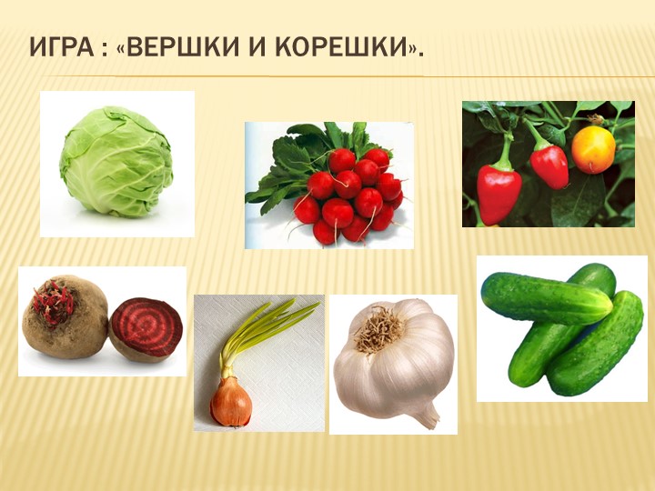 Презентация к ООД в старшей группе комбинированной направленности для детей с ОНР "Осенняя сказка".