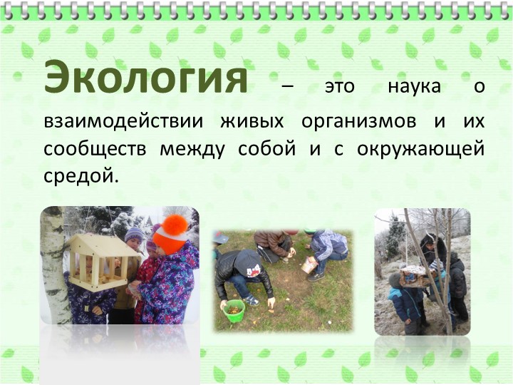 Формирование экологической культуры у дошкольников