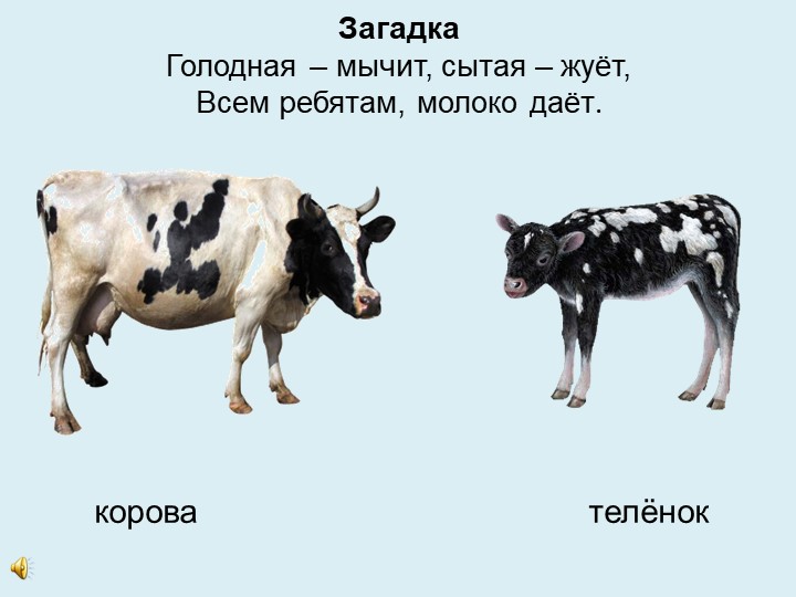 Викторина "Дикие и домашние животные"