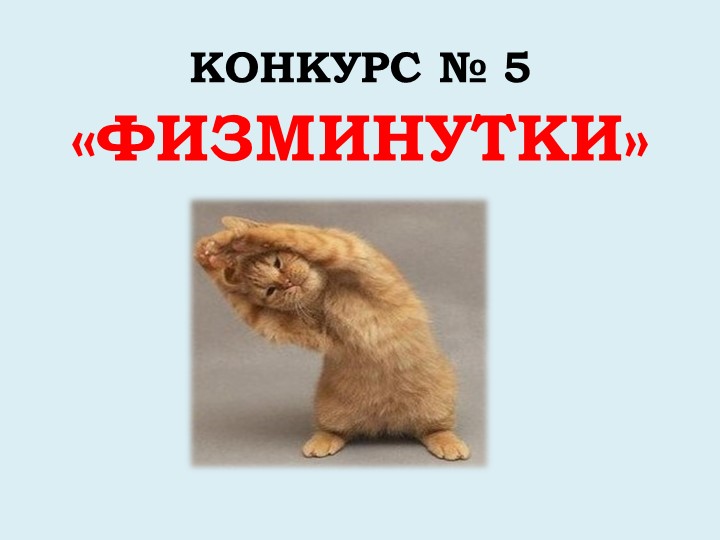 Викторина "Дикие и домашние животные"