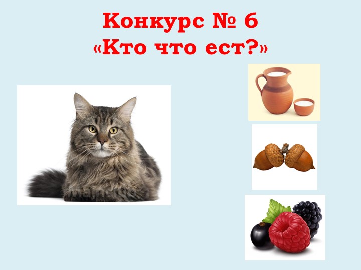 Викторина "Дикие и домашние животные"