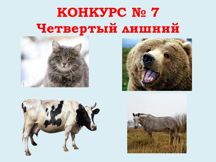 Викторина "Дикие и домашние животные"