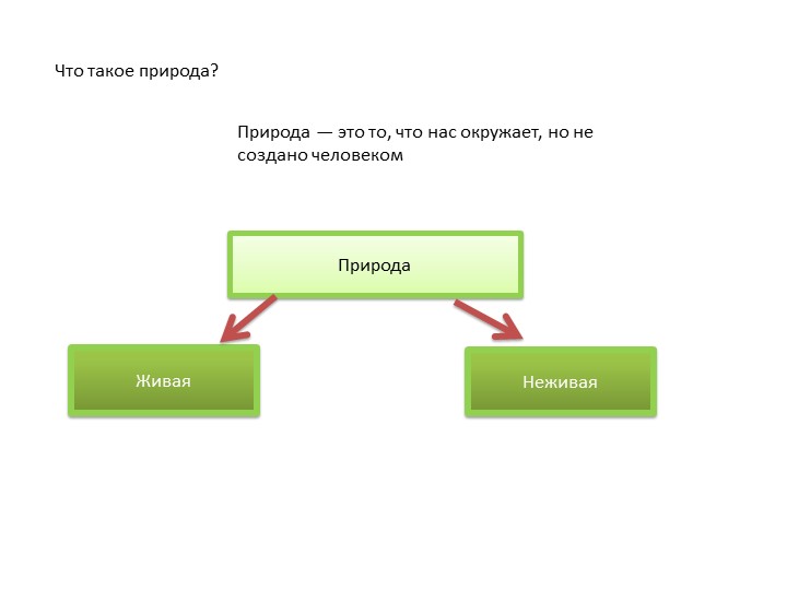 Познавательное развитие. Тема:"Удивительные предметы".