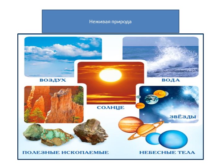 Познавательное развитие. Тема:"Удивительные предметы".