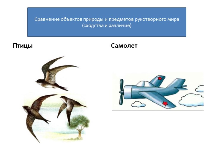 Познавательное развитие. Тема:"Удивительные предметы".