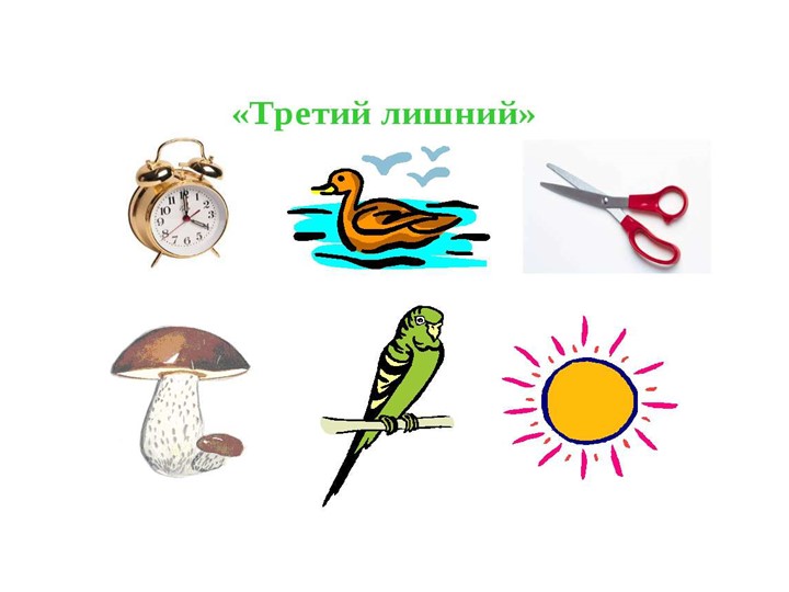 Познавательное развитие. Тема:"Удивительные предметы".