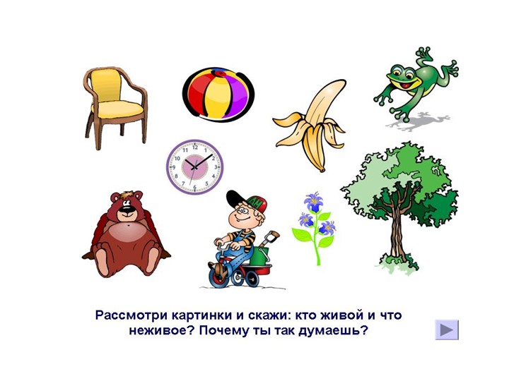Познавательное развитие. Тема:"Удивительные предметы".