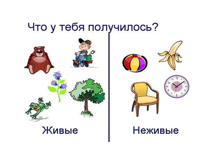 Познавательное развитие. Тема:"Удивительные предметы".