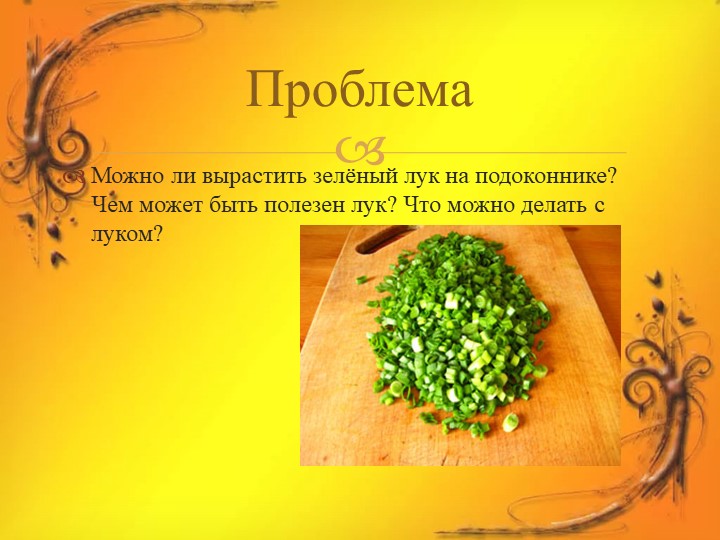 Проект в средней группе "Лук Зеленый друг"