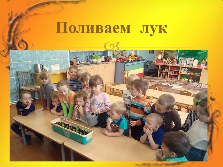 Проект в средней группе "Лук Зеленый друг"