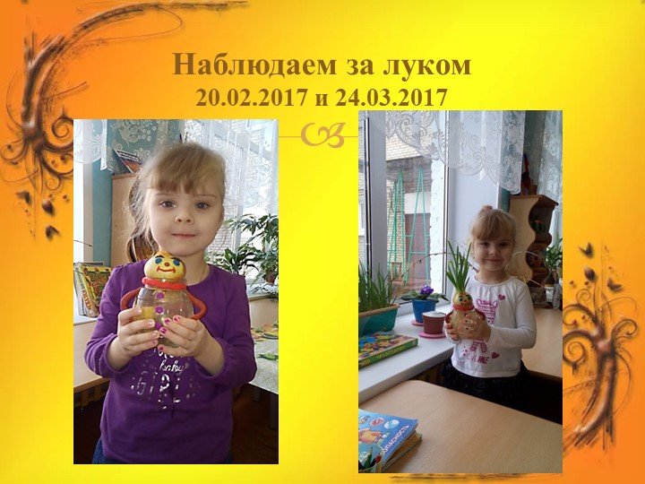 Проект в средней группе "Лук Зеленый друг"