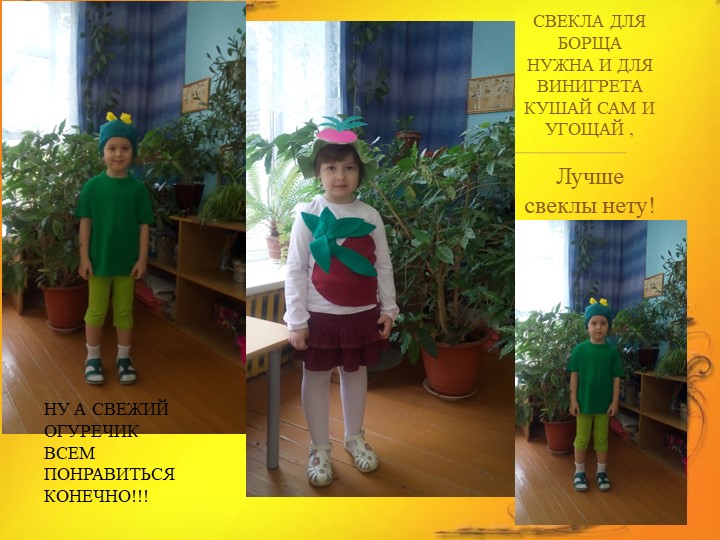 Проект в средней группе "Лук Зеленый друг"