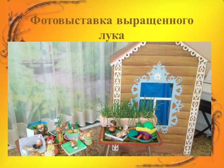 Проект в средней группе "Лук Зеленый друг"