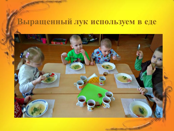 Проект в средней группе "Лук Зеленый друг"