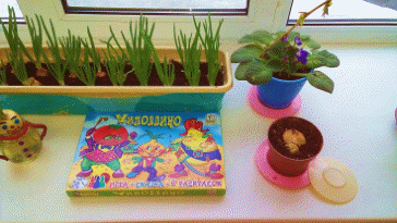20170316_171718.jpg