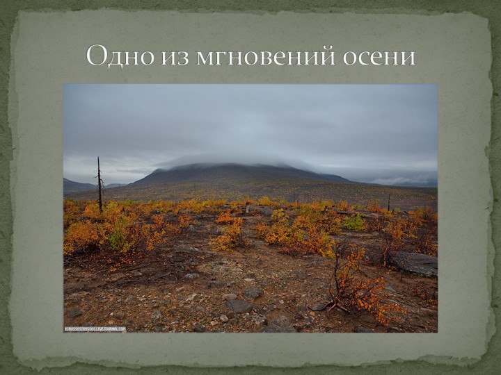 Презентация "Говорят, что север крайний".