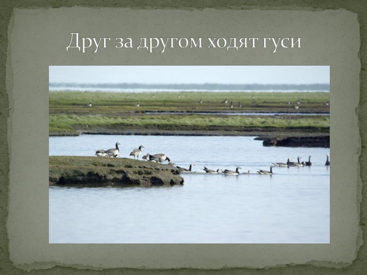 Презентация "Говорят, что север крайний".