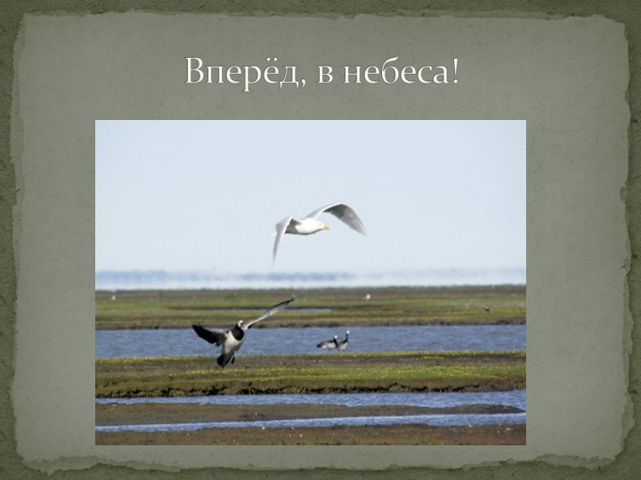 Презентация "Говорят, что север крайний".