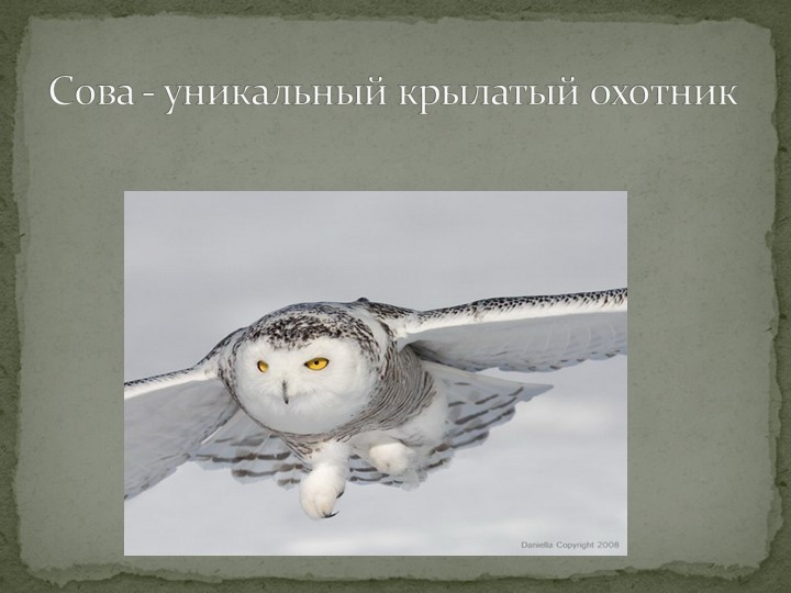 Презентация "Говорят, что север крайний".